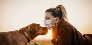 Woman in mask touching noses with brown dog at sunset