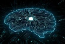 Digital brain shaped circuit board with central microchip