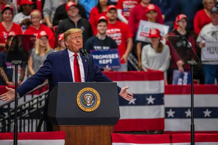 Donald Trump speaks at a rally; Teddy Williams and Bear Pascoe are in the crowd