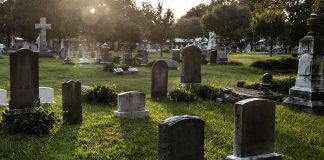 Gravestones in a sunlit cemetery